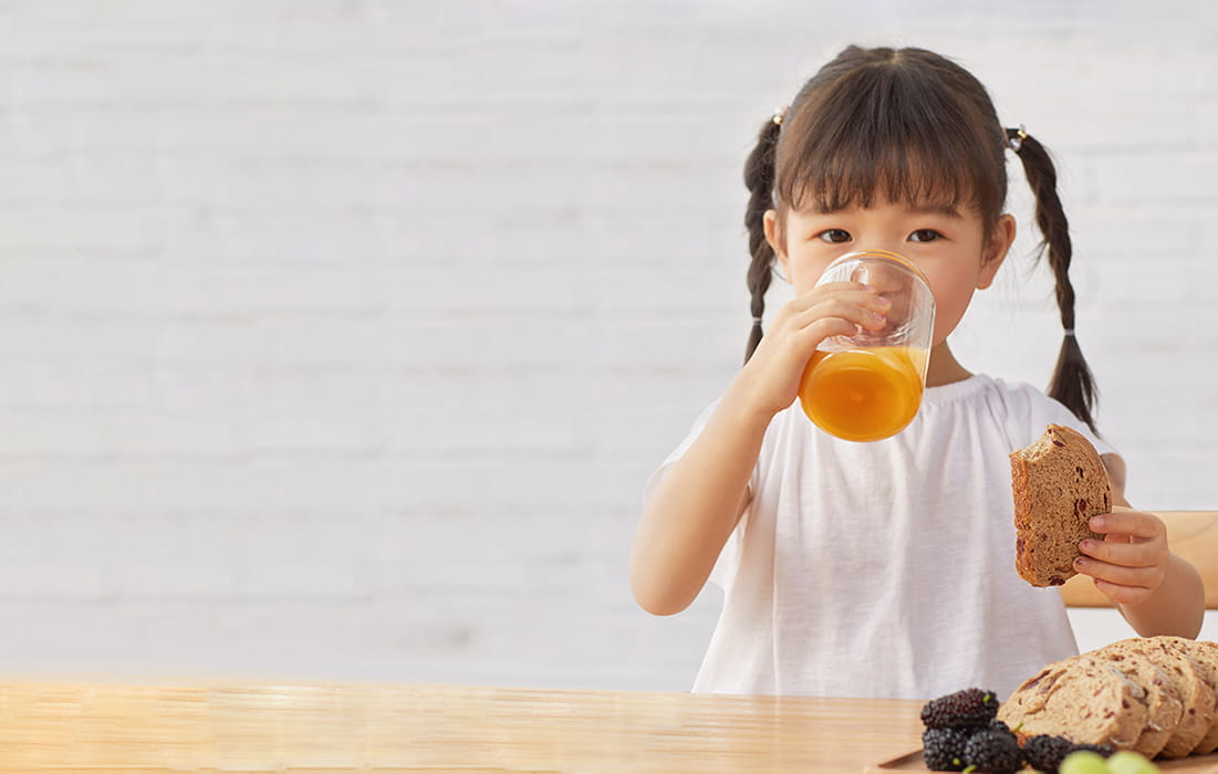 Portable Power Station EcoFlow DELTA Pro