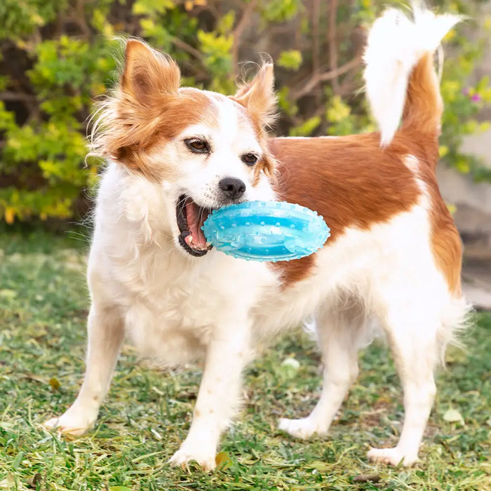 2-in-1 Freezable Pet Chew Toy Glubiz InnovaGoods - Домашни Животни<<<Дом Градина<<<BigBuy&&&Играчки<<<Домашни