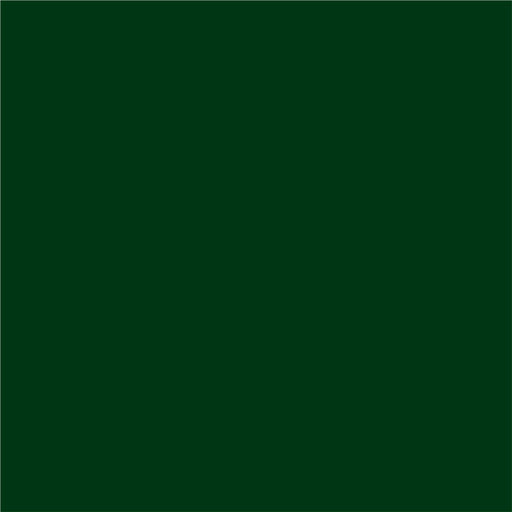 3 IN 1 ENAMEL COAT 2.5 L DARK GREEN COLOR PROTECTA - Алкидни и водоразтворими<<<Бои за метал и дърво<<<Бои и
