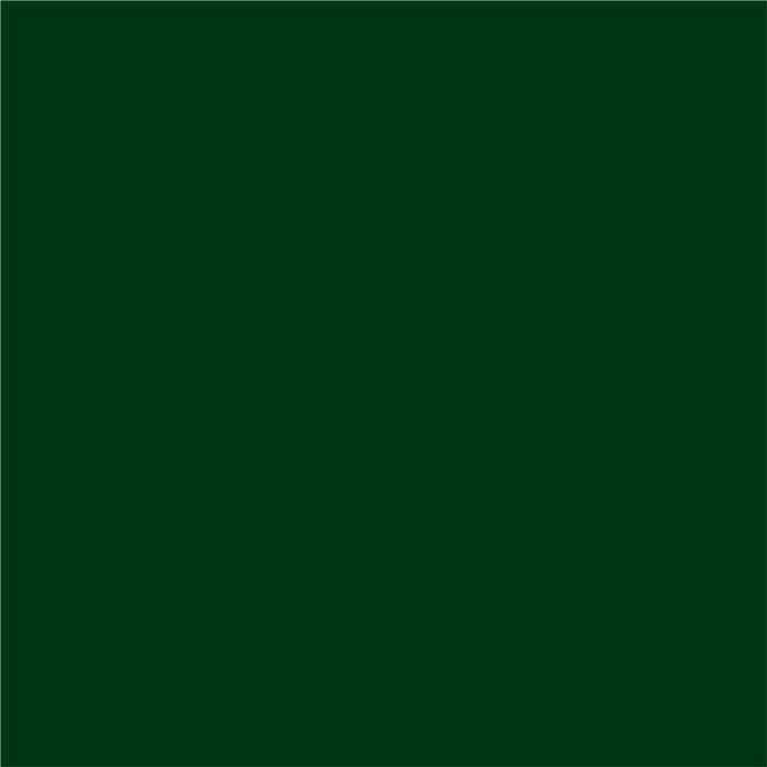 3 IN 1 ENAMEL COAT 2.5 L DARK GREEN COLOR PROTECTA - Алкидни и водоразтворими<<<Бои за метал и дърво<<<Бои и