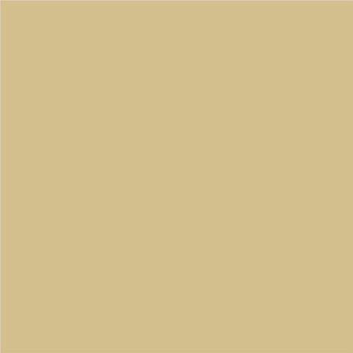3 IN 1 ENAMEL POLISH 500 ML COLOR LIGHT BEIGE METALLIC PROTECTA - Алкидни и водоразтворими<<<Бои за метал и дърво<<<Бои