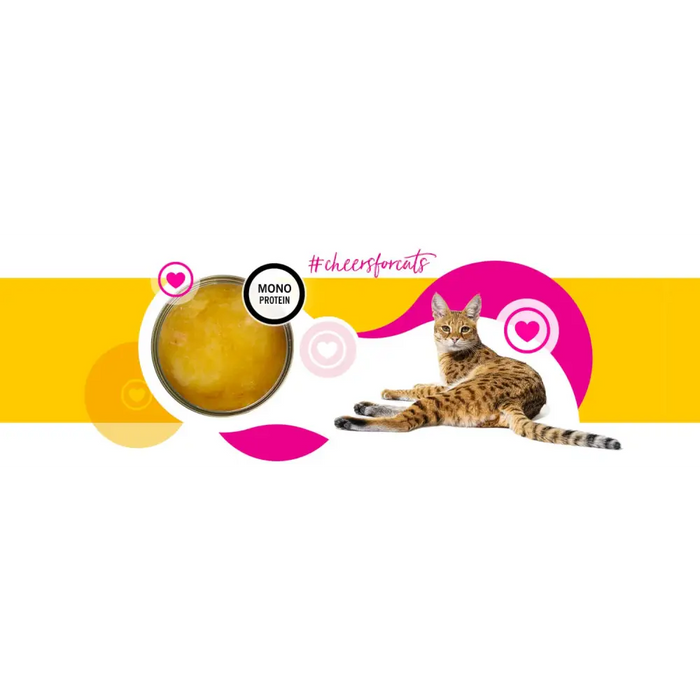 3COTY Chicken Cheers! - wet cat food - 75g - Wet foodDLK-KAM<<<For the catDLK<<<ActionPL