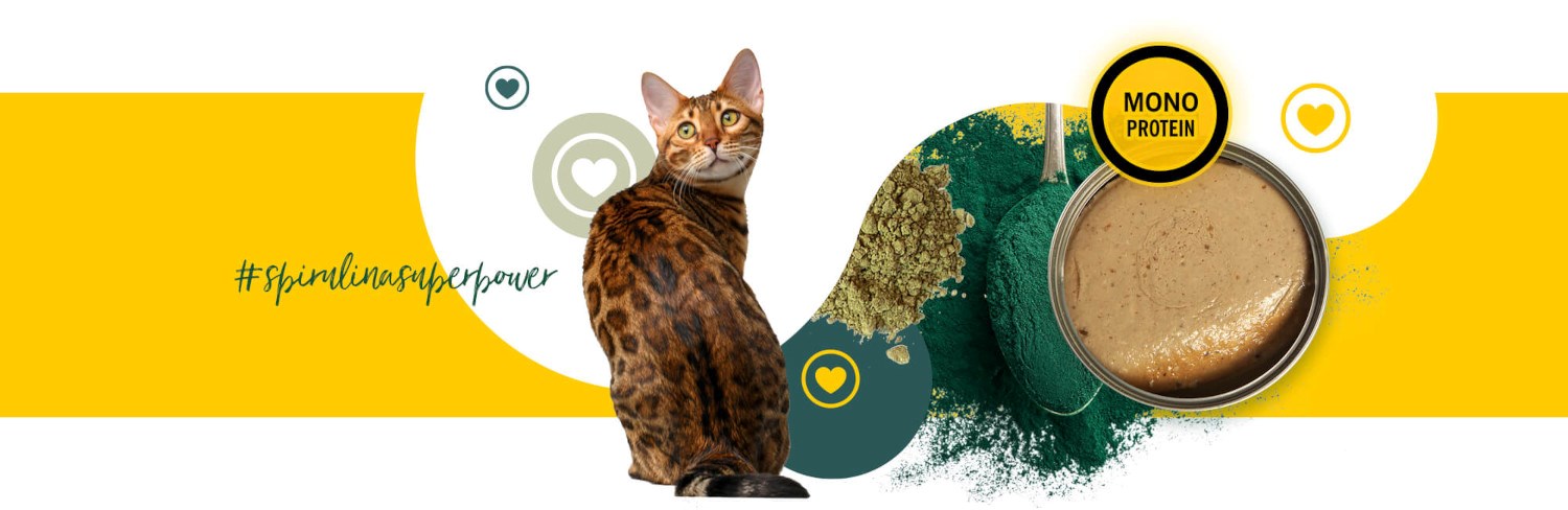 3COTY Chicken with spirulina Senior - wet cat food - 80g