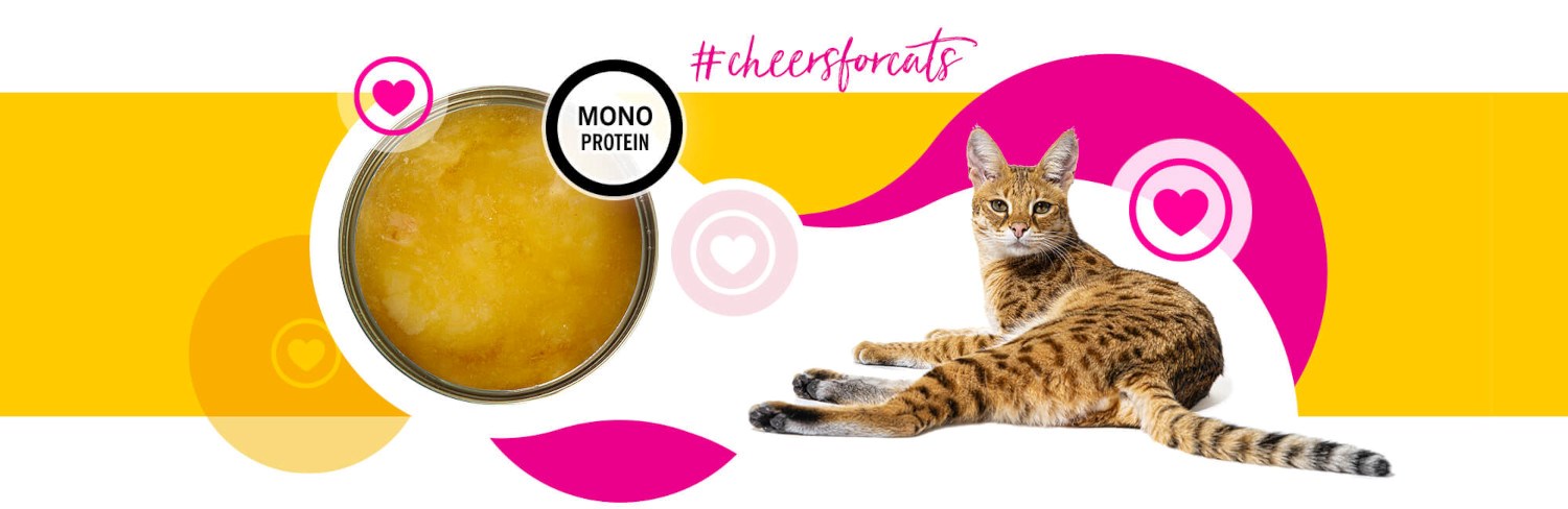 3COTY Chicken Cheers! - wet cat food - 75g