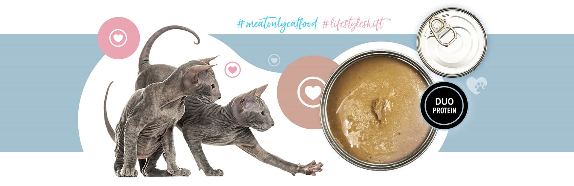 3COTY 41. Turkey and chicken for kittens - wet cat food - 180g