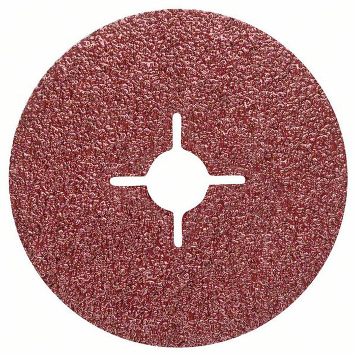 FIBER SCRUBBERS P24 BOSCH