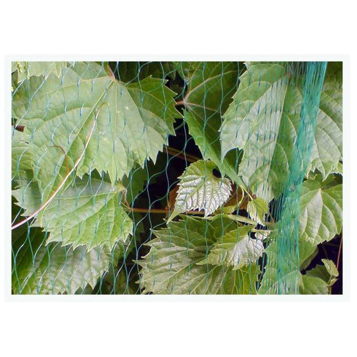 ANTI-BIRD NETTING 5X10M BRADAS AS-BN71919510