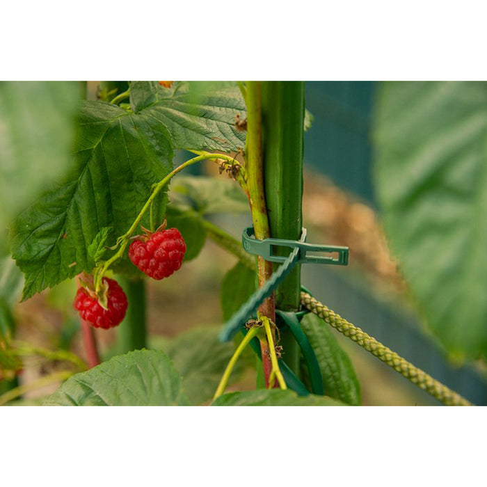 PLANT TIES 17CM 50PCS GREEN BRADAS TYT54170GR/50