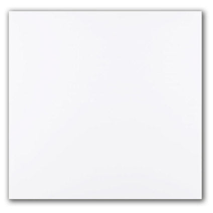 PVC PANEL FOR SUSPENDED CEILING MOISTURE RESISTANT 60X60CM DECOR TRADE WHITE MATTE