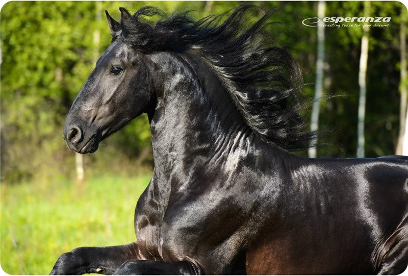 Esperanza EA133 mouse pad Multicolor