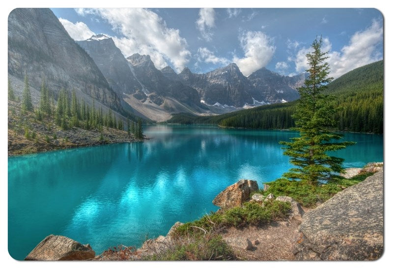 Esperanza EA133 mouse pad Multicolor