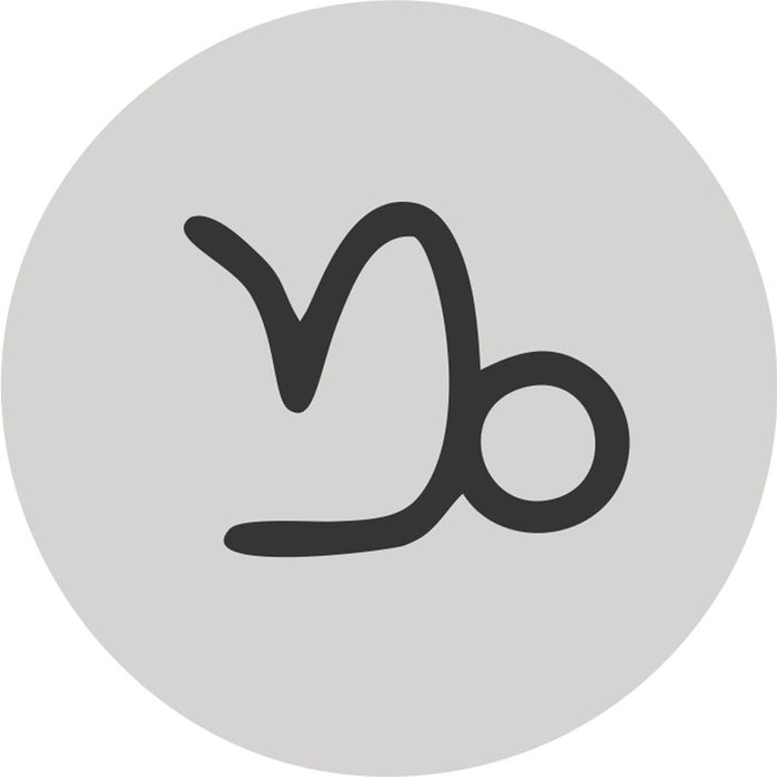 CAPRICORN 2.2 L FORTUNA INTERIOR PAINT