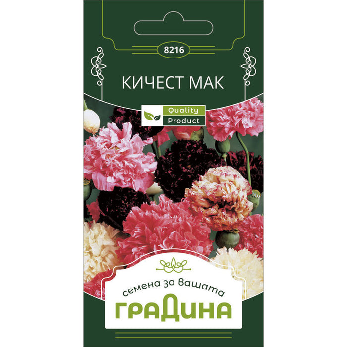 KICHEST POPPY GARDEN SEEDS