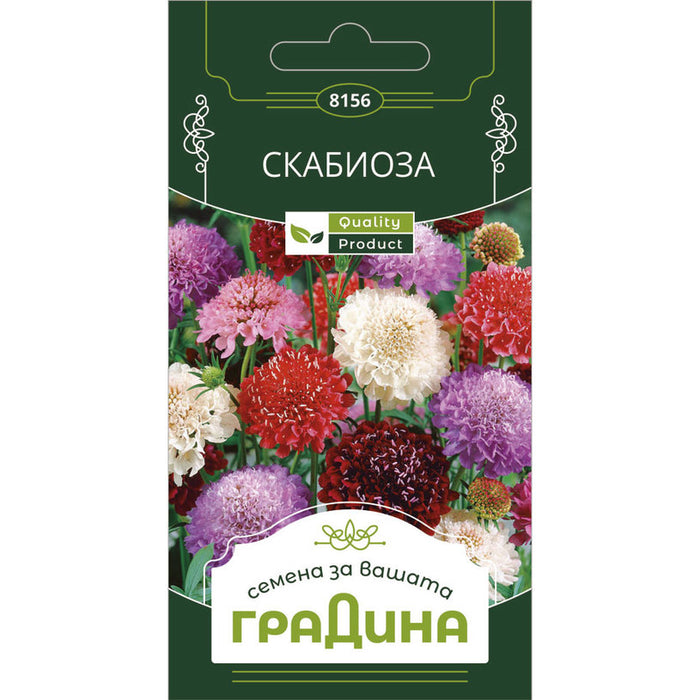 SCABIOSA SEEDS GARDEN