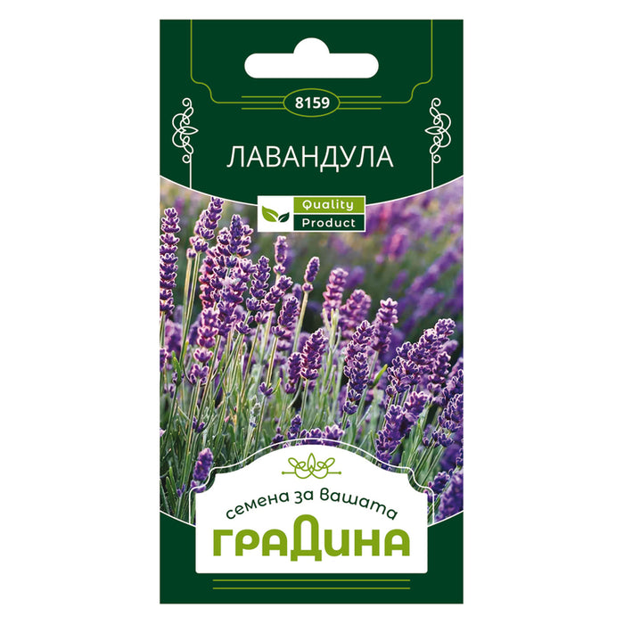 LAVENDER SEEDS GARDEN