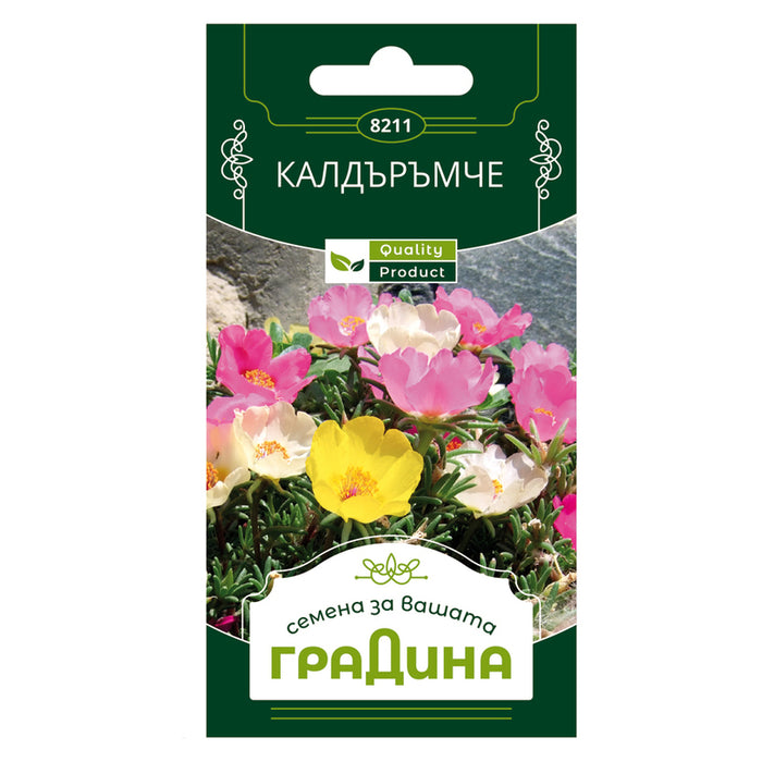 Cobblestone seeds, simple flower, garden