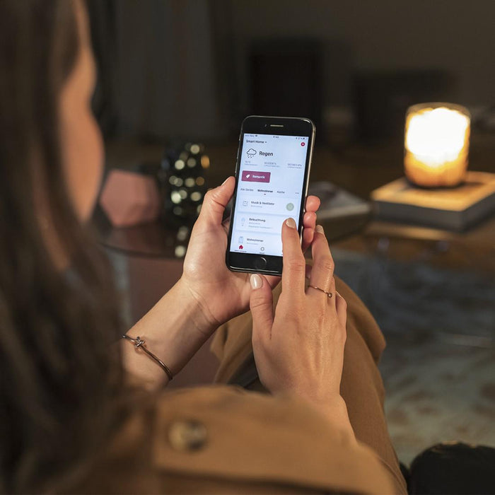 HAMA Smart thermal head for radiator WiFi, 176661