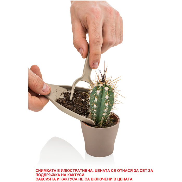 CACTUS HD MAINTENANCE SET