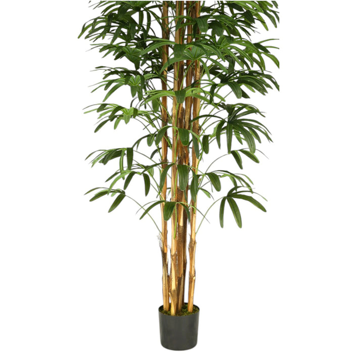 ARTIFICIAL PLANT PALM BENJAMIN 200CM HD HD-10972