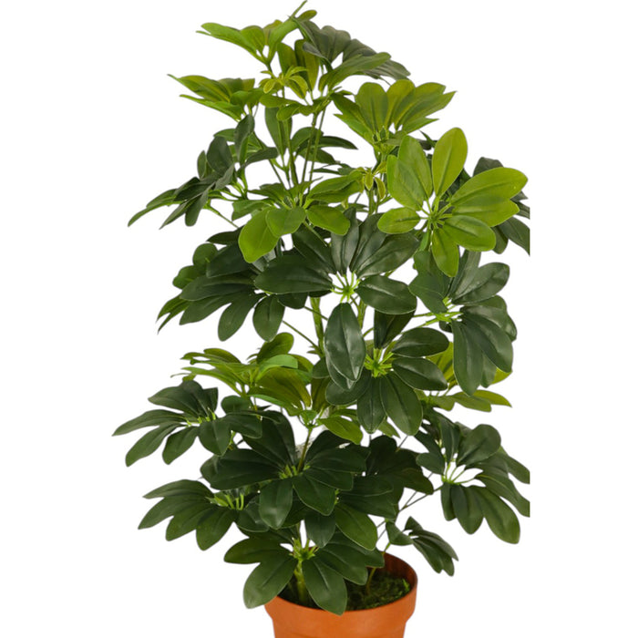 ARTIFICIAL PLANT SCHEFLERA 65CM HD HD-10980