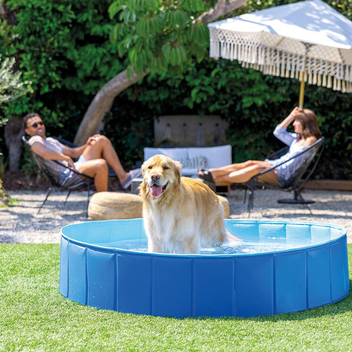 POOL FOR A PET LOVER F152X30CM INTEX 48400NP