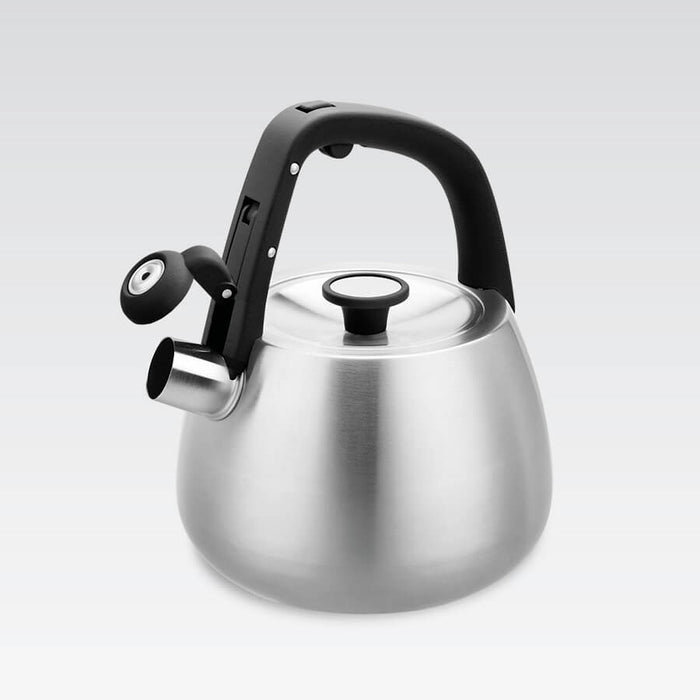 Kettle Maestro MR-1318 2,5 l Silver, Black
