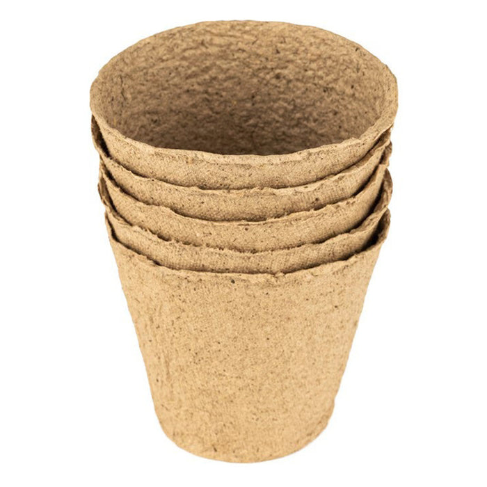 SET OF 5 SEEDLINGS, 10X10CM PALISAD 643747
