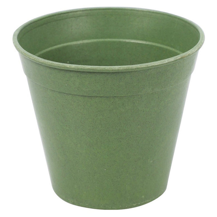 SET OF SEEDLINGS 4PCS PROGARDEN CY8901810