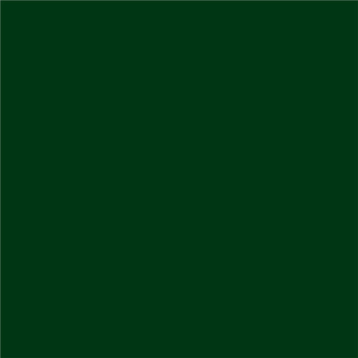 3 IN 1 ENAMEL LACQUER 500 ML DARK GREEN COLOR PROTECTA