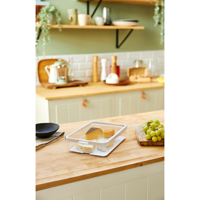 2.6 L CAUMA ROTHO FRIDGE ORGANIZER