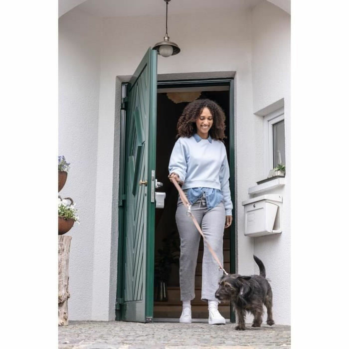 Smart Lock ABUS LOXERIS One CFA4100 S Grey Metal 17 x 9 x 29 cm