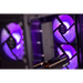 Actina 5901443337584 PC AMD Ryzen™ 5 5600 16 GB DDR4-SDRAM 1 TB SSD NVIDIA GeForce RTX 4060 Ti Midi Tower Black