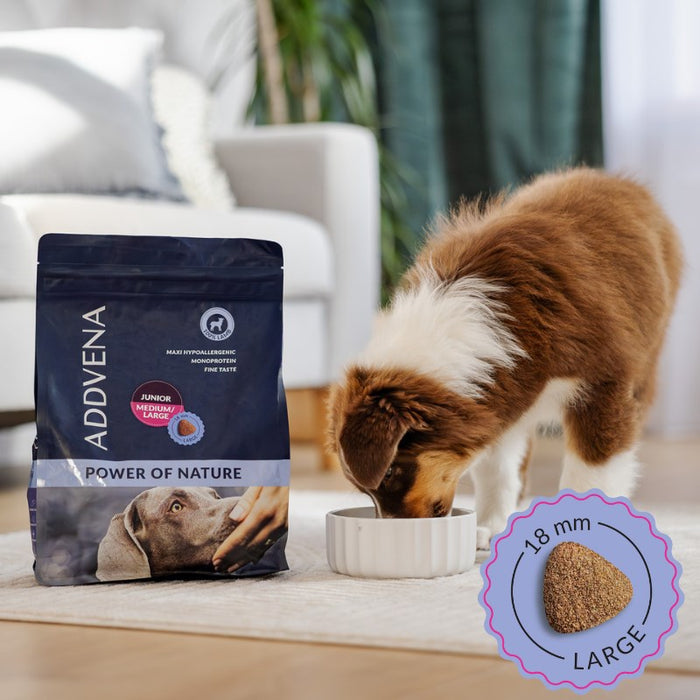 ADDVENA Power of Nature Junior Medium/Large Lamb - dry dog food - 2,5kg
