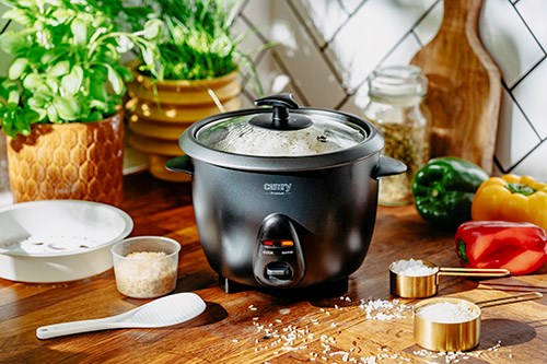 Rice cooker CAMRY CR 6419