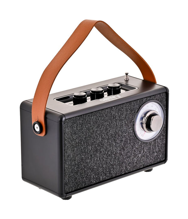 Bluetooth speaker Camry CR 1902B
