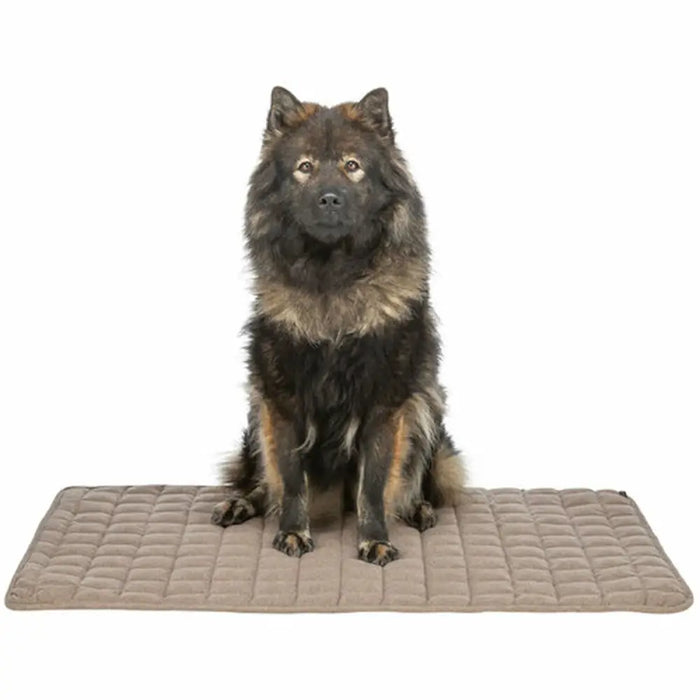 Airbed Trixie Brown 100 × 70 CM Dog - Домашни Животни<<<Дом Градина<<<BigBuy&&&Къщички и легълца<<<Домашни