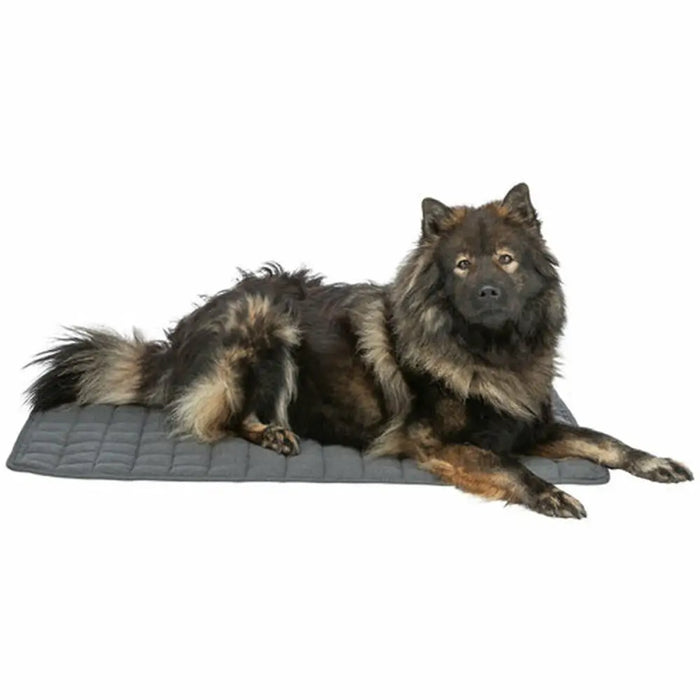 Airbed Trixie Dark grey 80 × 60 cm Dog - Домашни Животни<<<Дом Градина<<<BigBuy&&&Къщички и легълца<<<Домашни