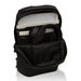 Alienware AW323P 17 43.2 cm (17’’) Backpack Black