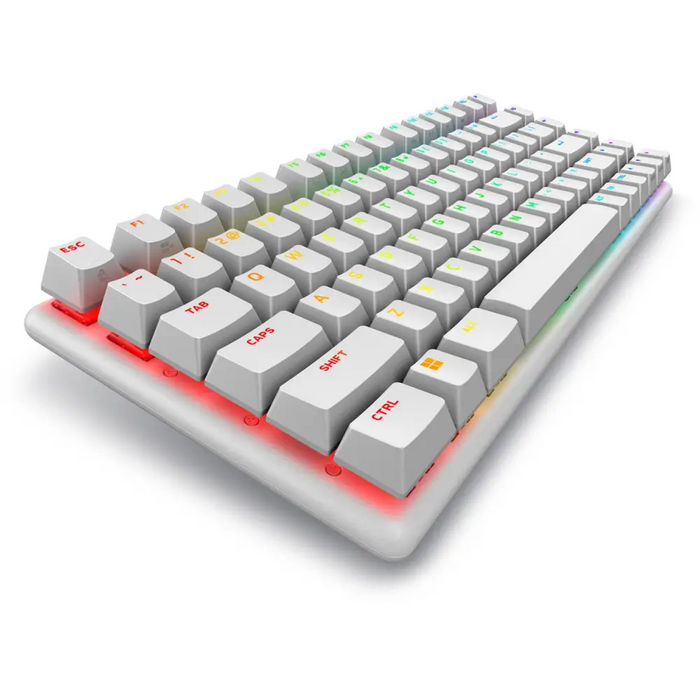 Alienware Pro Wireless Gaming keyboard USB + RF Wireless + Bluetooth White