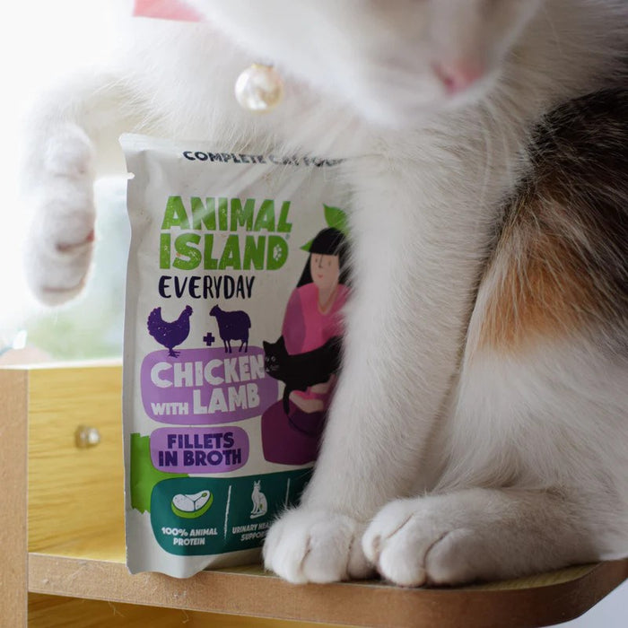 ANIMAL ISLAND Chicken / Quail & Chicken / Lamb Fillets in broth - wet cat food - 4x85g