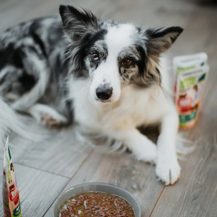 ANIMAL ISLAND Turkey / Beef Fillets in broth - wet dog food - 8x150g