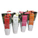 ANTHURIUM TURENZA/ROYAL MIX - Цъфтящи растения<<<Стайни растения<<<Градина<<<Praktiker