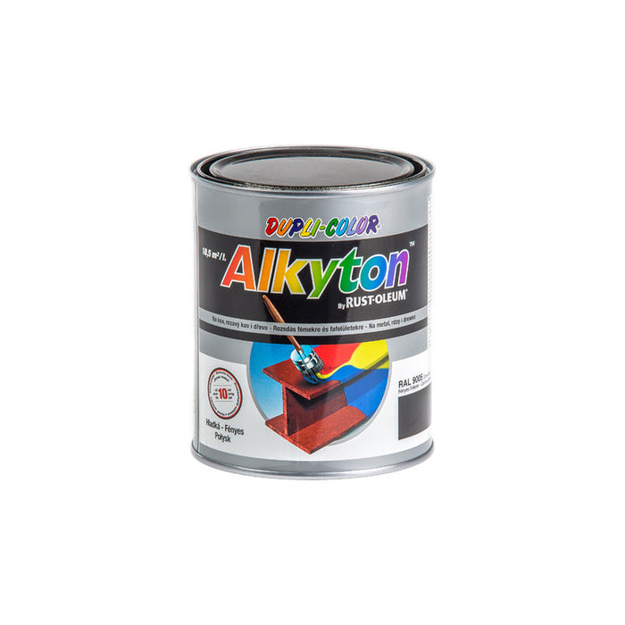 ANTI-CORROSION PAINT 4B1 ALKYTON RAL 9005 DUPLI COLOR - Алкидни и водоразтворими<<<Бои за метал и дърво<<<Бои и