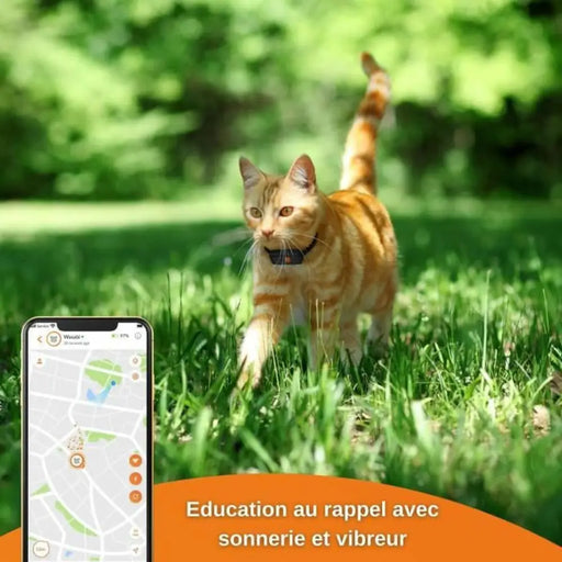 Anti-loss Localiser Weenect Weenect XS GPS Black - Домашни Животни<<<Дом Градина<<<BigBuy&&&Здраве и хигиена<<<Домашни