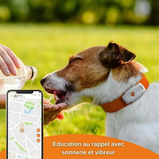 Anti-loss Localiser Weenect Weenect XS GPS White - Домашни Животни<<<Дом Градина<<<BigBuy&&&Здраве и хигиена<<<Домашни