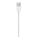 Apple cable USB-A - Lightning 1m white (MXLY2ZM/A) - Cell phone cables<<<HurtelXML&&&USB cablesAKG-KAB<<<GSM