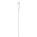Apple cable USB-C - Lightning 1m white (MUQ93ZM/A) - Cell phone cables<<<HurtelXML&&&Accessories<<<APPLE