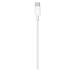 Apple MLL82ZM/A USB-C - USB-C 480Mb/s cable 2m - white - Cell phone cables<<<HurtelXML&&&Accessories<<<APPLE