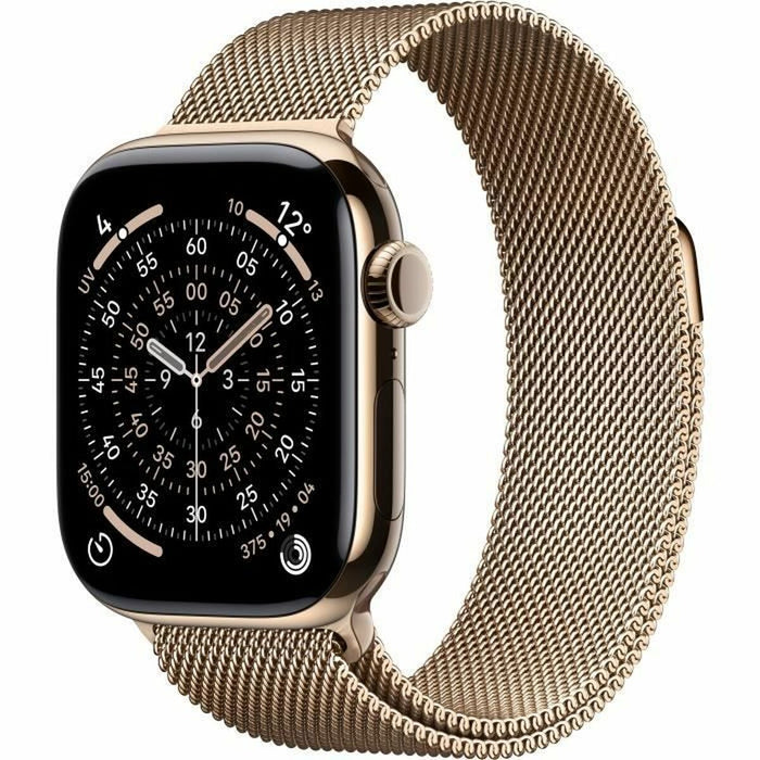 Smartwatch Apple Titanium