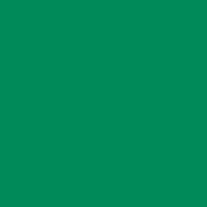 SILK PAINT GREEN 650 ML AQUIS